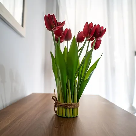 Feel Greek Hospitality #θ006 Appartement *
